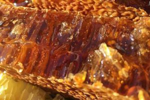 你应该知道的关于土蜂蜜事宜 你应该知道的关于土蜂蜜事宜